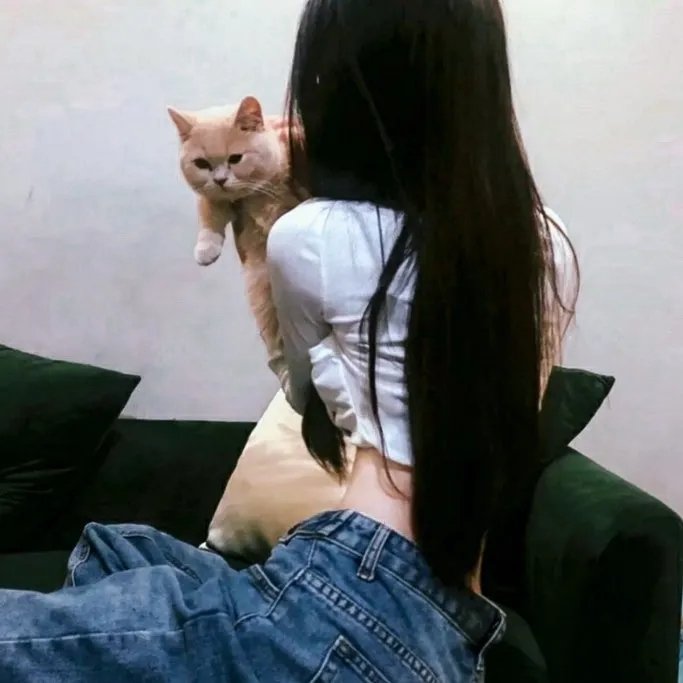 新燕子李三2013