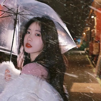 挪威的抵抗